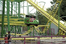 Wild Mouse