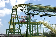 Wild Mouse