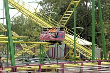 Wild Mouse