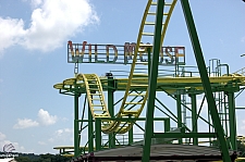 Wild Mouse