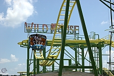 Wild Mouse