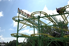 Wild Mouse