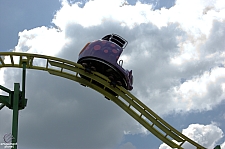 Wild Mouse