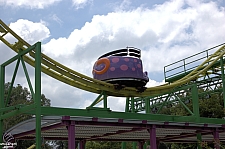 Wild Mouse