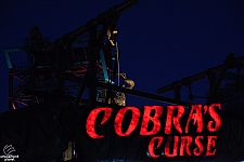 Cobra's Curse