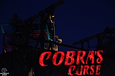 Cobra's Curse