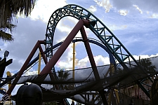 Cobra's Curse