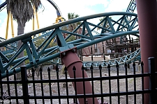 Cobra's Curse