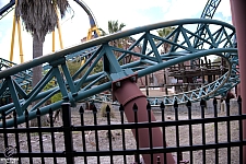 Cobra's Curse