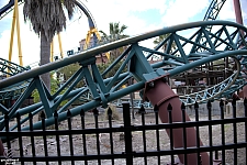 Cobra's Curse
