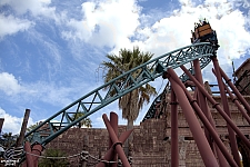 Cobra's Curse
