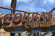 Cobra's Curse