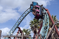 Cobra's Curse