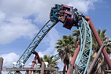 Cobra's Curse