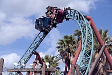 Cobra's Curse