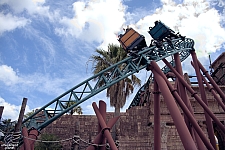 Cobra's Curse