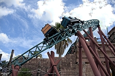 Cobra's Curse