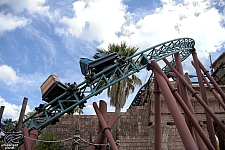 Cobra's Curse