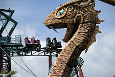 Cobra's Curse