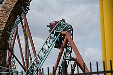 Cobra's Curse