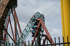 Cobra's Curse