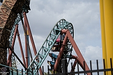 Cobra's Curse