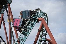 Cobra's Curse