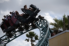 Cobra's Curse