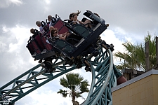 Cobra's Curse
