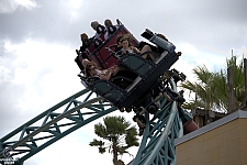 Cobra's Curse