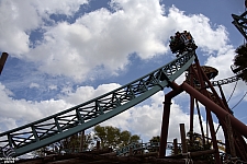 Cobra's Curse