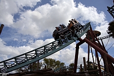Cobra's Curse