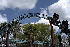 Cobra's Curse