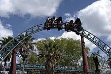 Cobra's Curse