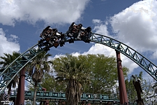 Cobra's Curse