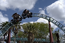 Cobra's Curse