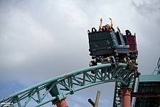 Cobra's Curse