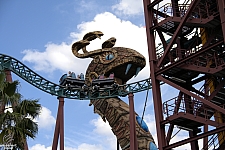 Cobra's Curse