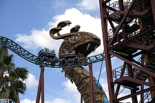 Cobra's Curse