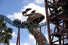 Cobra's Curse