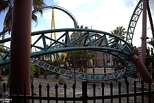 Cobra's Curse
