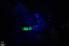 Howl-O-Scream 2025