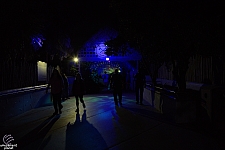Howl-O-Scream 2025