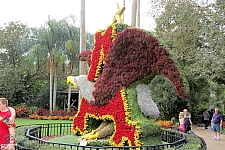 Busch Gardens Tampa