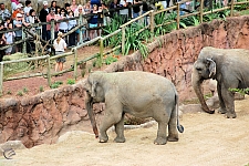 Busch Gardens Tampa