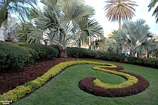 Busch Gardens Tampa