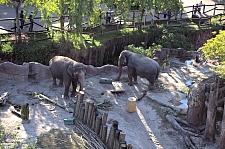 Busch Gardens Tampa