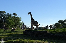 Busch Gardens Tampa