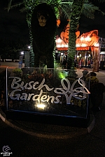 Busch Gardens Tampa