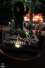 Busch Gardens Tampa